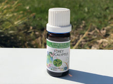 Charger l'image dans la galerie, FORET D'EUCALYPTUS - Synergies pour diffuseurs - 10 ml