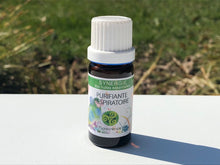 Charger l'image dans la galerie, PURIFIANTE RESPIRATOIRE - Synergies pour diffuseurs - 10 ml